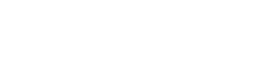 MotorSport New Zealand